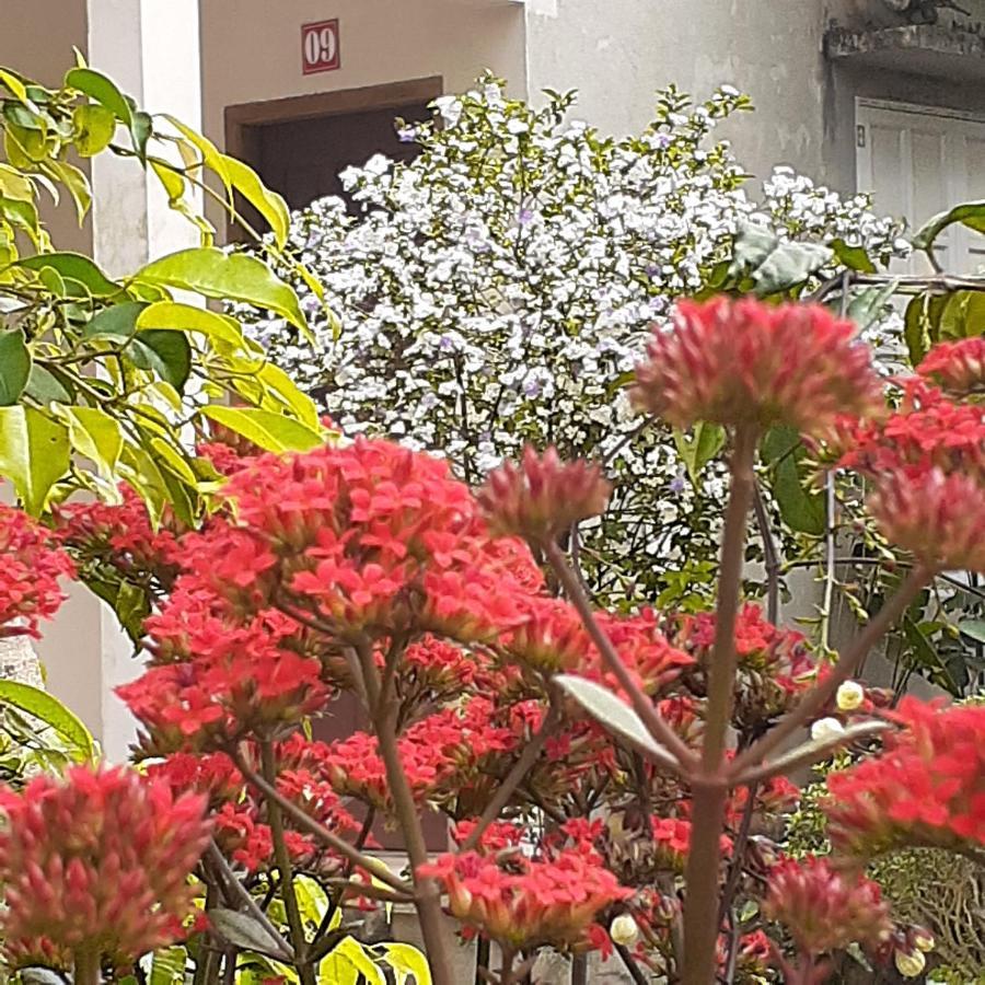 Cuc Phuong Bungalow Nho Quan المظهر الخارجي الصورة