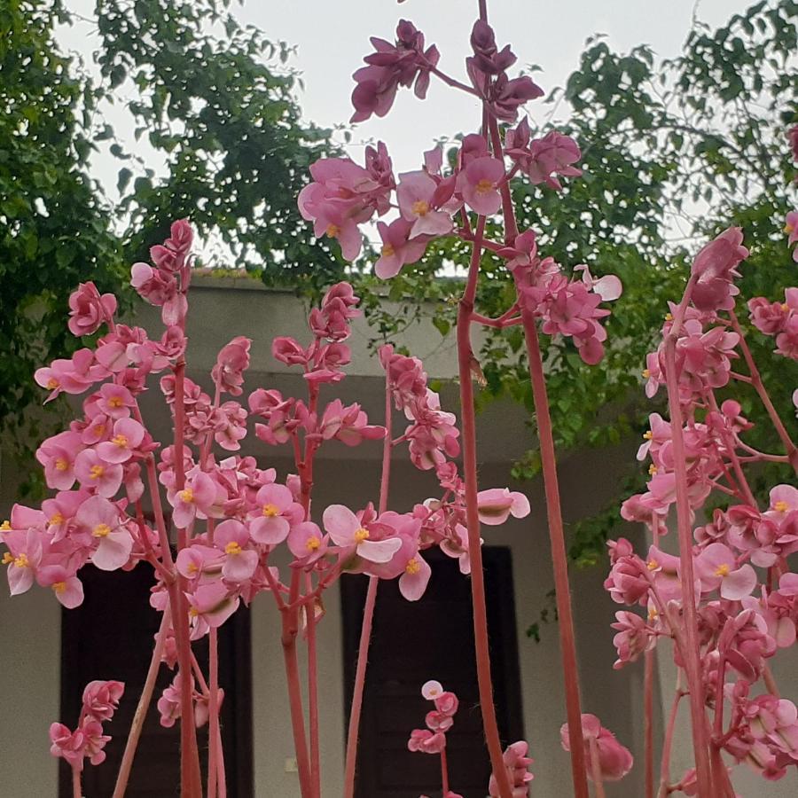 Cuc Phuong Bungalow Nho Quan المظهر الخارجي الصورة