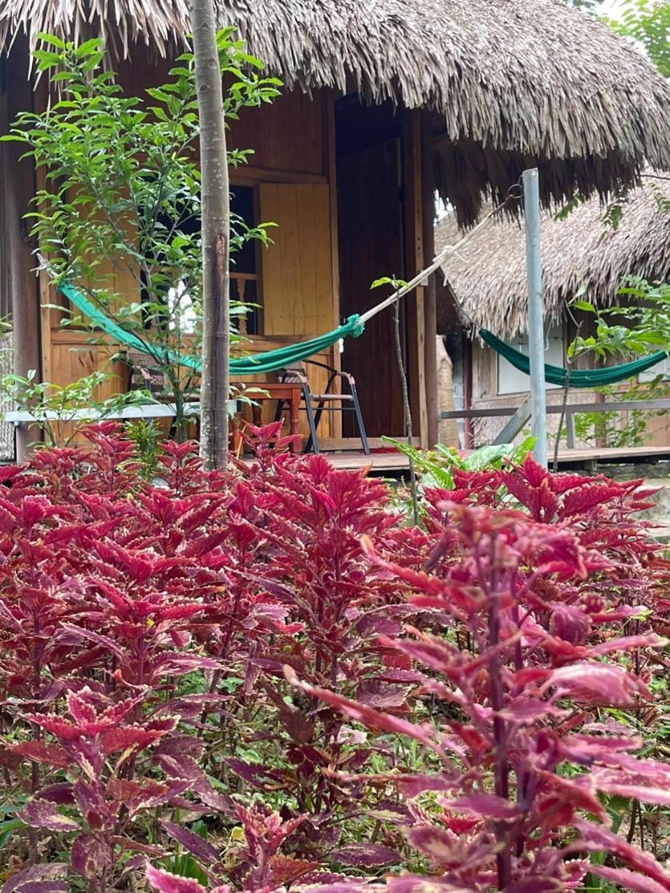 Cuc Phuong Bungalow Nho Quan المظهر الخارجي الصورة
